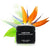 Vienne Skin Radiance